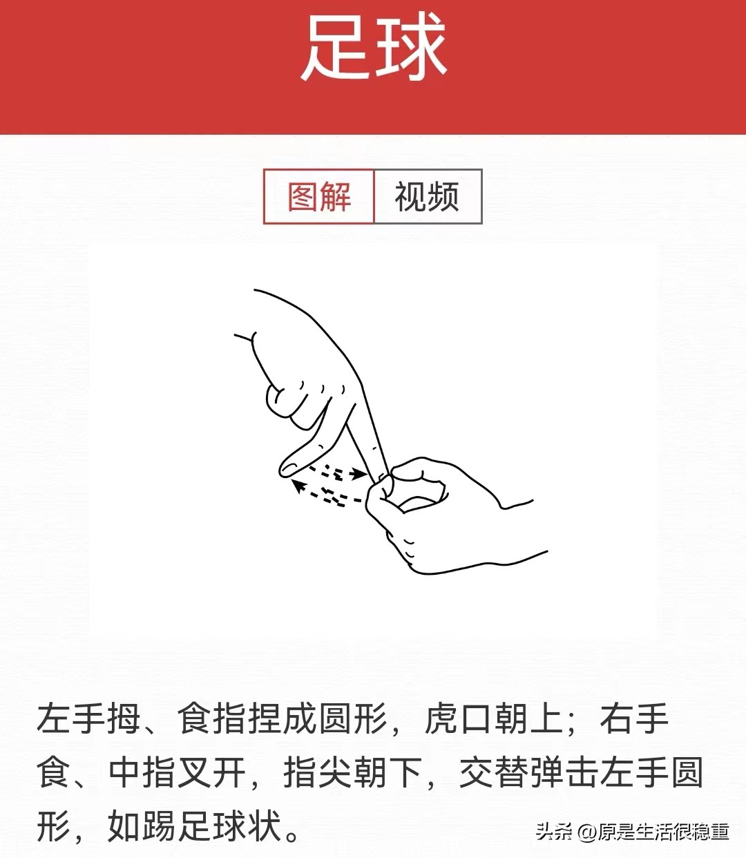 今日学习打卡——用手说话Part17