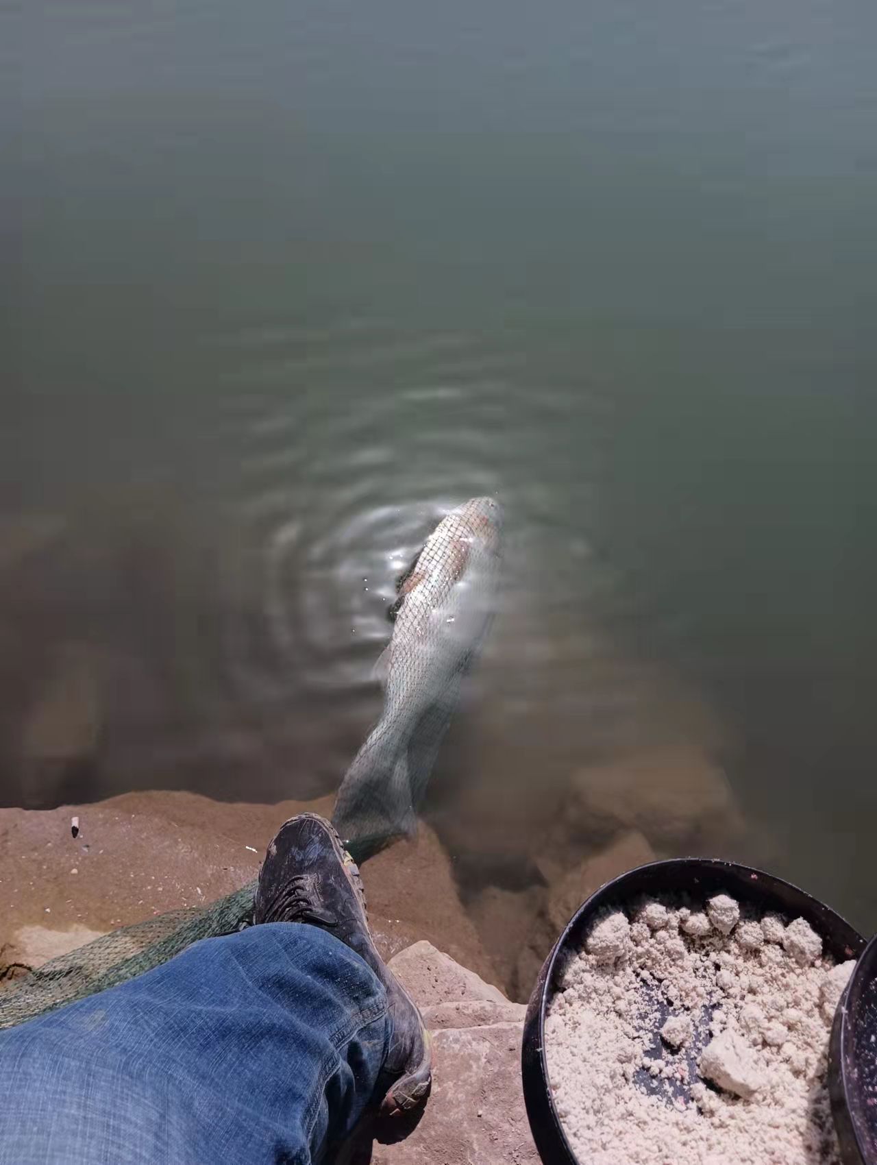 野钓看资源还是技术,野钓只能钓到鲫鱼