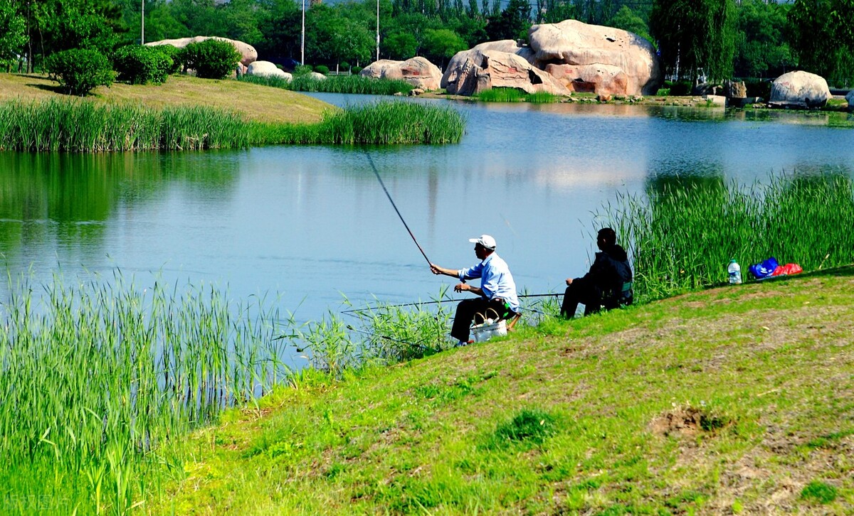 玉米野钓技巧和方法,野钓用玉米怎么钓鱼效果最好