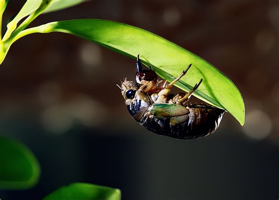 推荐三本谍战特工经典小说,特工小说推荐排行榜完本