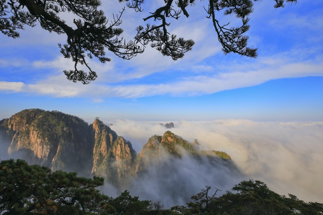 正确练拳练腿怎么随心顺手,练拳要怎么练肌肉