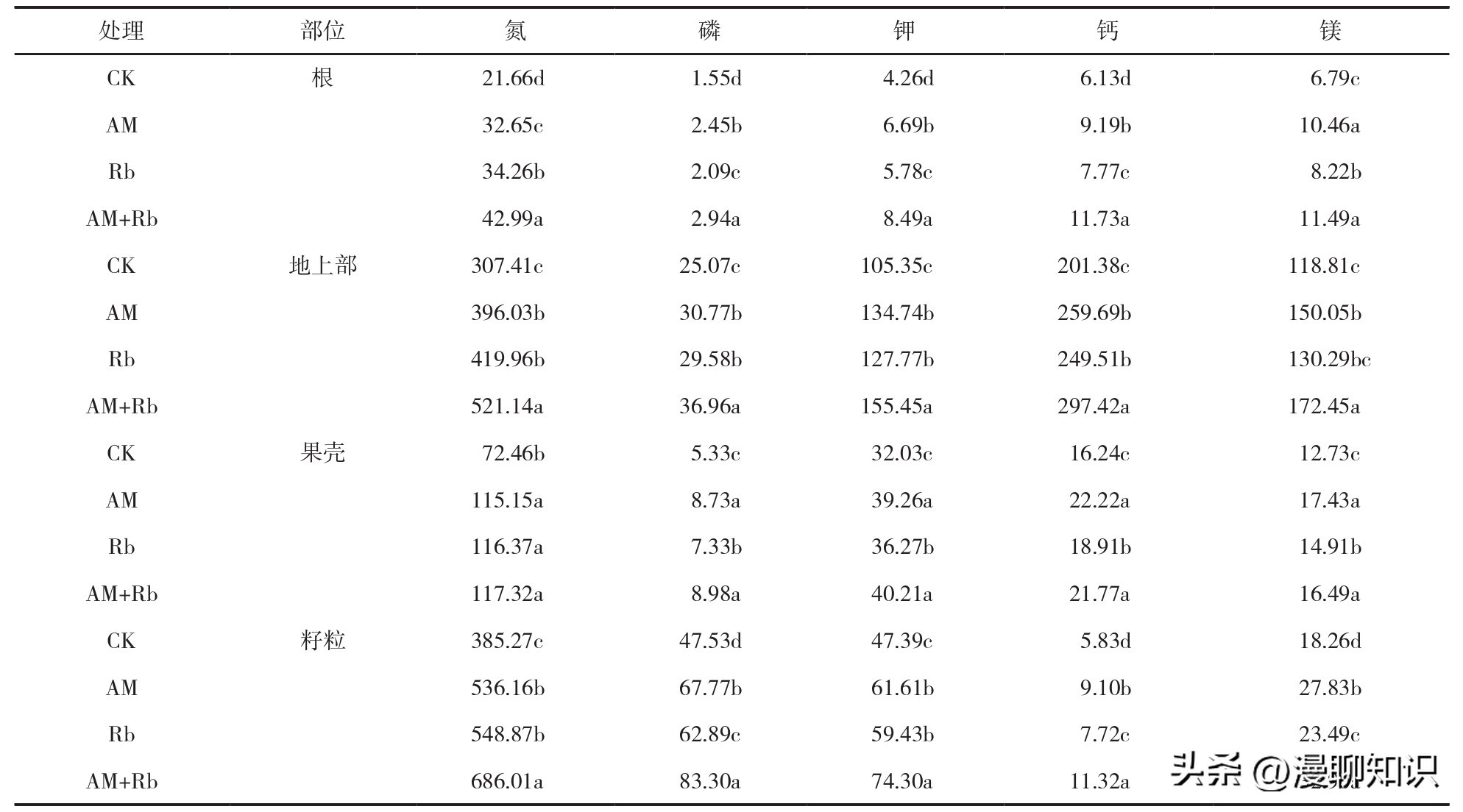 丛枝菌根真菌介绍,丛枝菌根对植物的影响