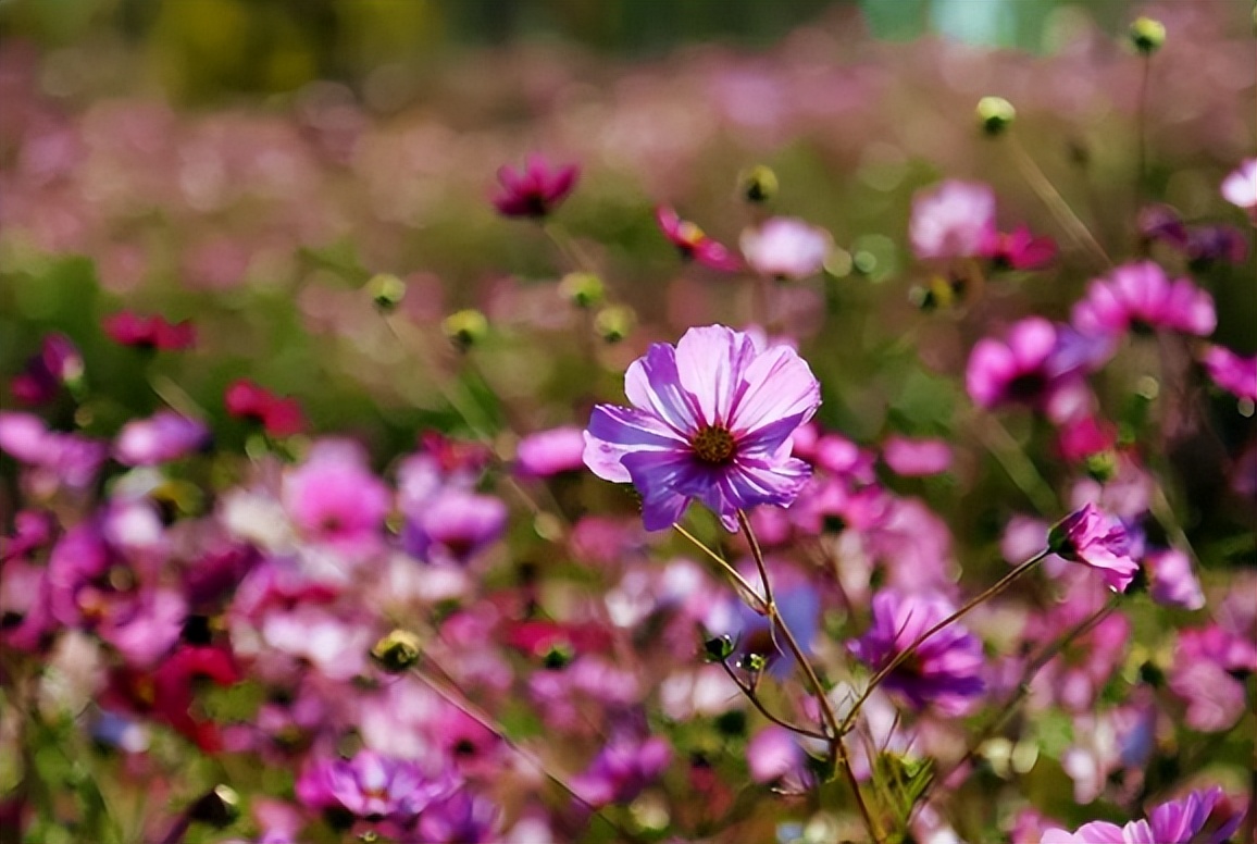 头屯河谷“拍了拍”你，自媒体短视频大赛火热来袭~