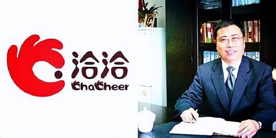 洽洽瓜子陈先保身价,洽洽瓜子创始人陈保先简历