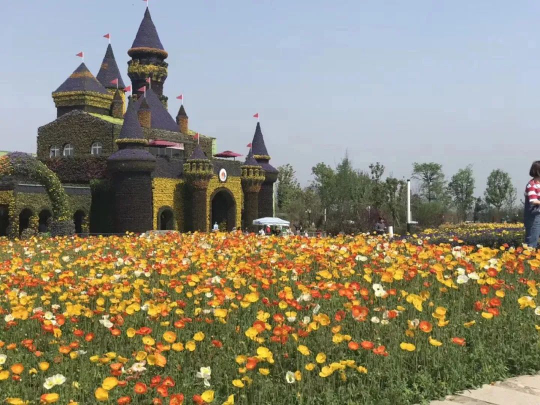 乡村振兴战略赋能十大模式和案例,乡村振兴产业振兴案例