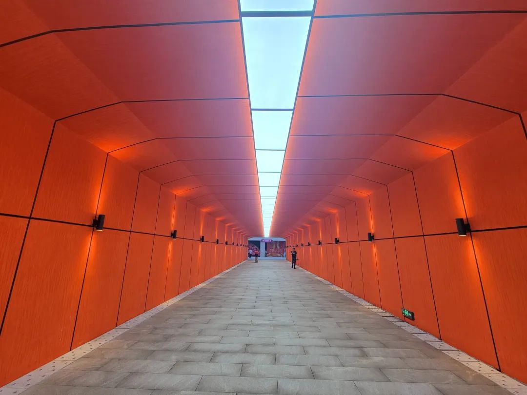 你不要不信！这么多人都在这花几十万，肯定是有道理的