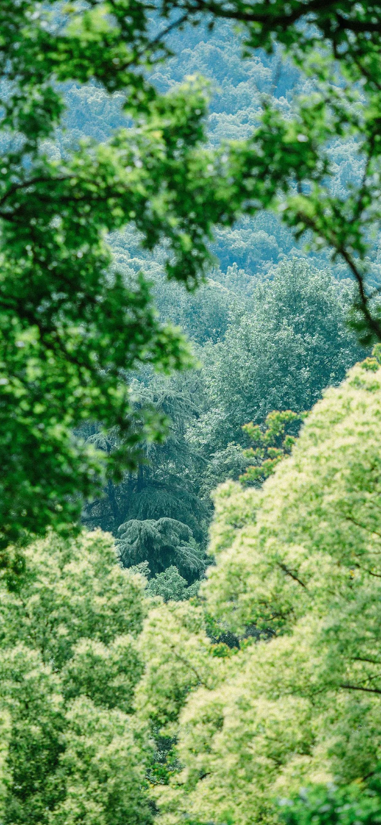 鎴戜滑缁堜細涓婂哺闃冲厜鏄庡獨,鎴戜滑缁堝皢涓婂哺闃冲厜涓囬噷椴滆姳婊″湴