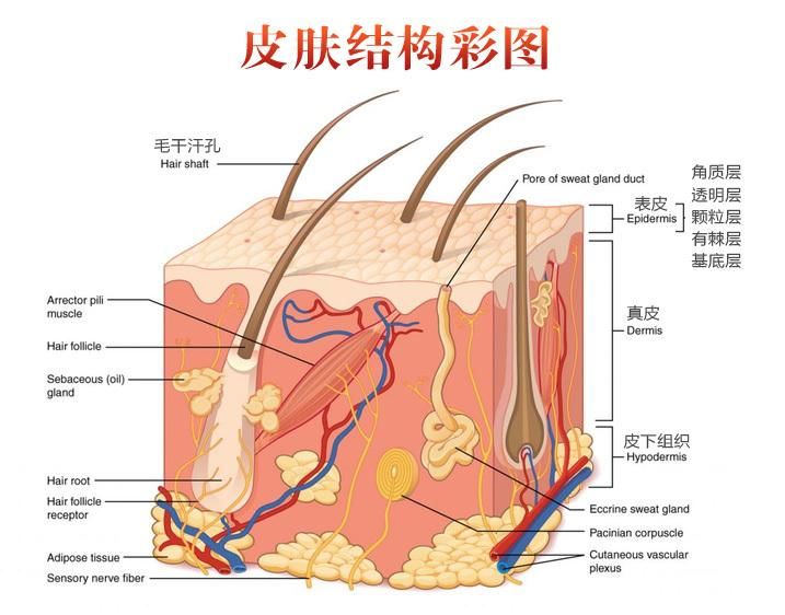 宝宝面霜怎么选?成分*党**妈妈支妙招:4招轻松拿捏宝宝肌肤问题