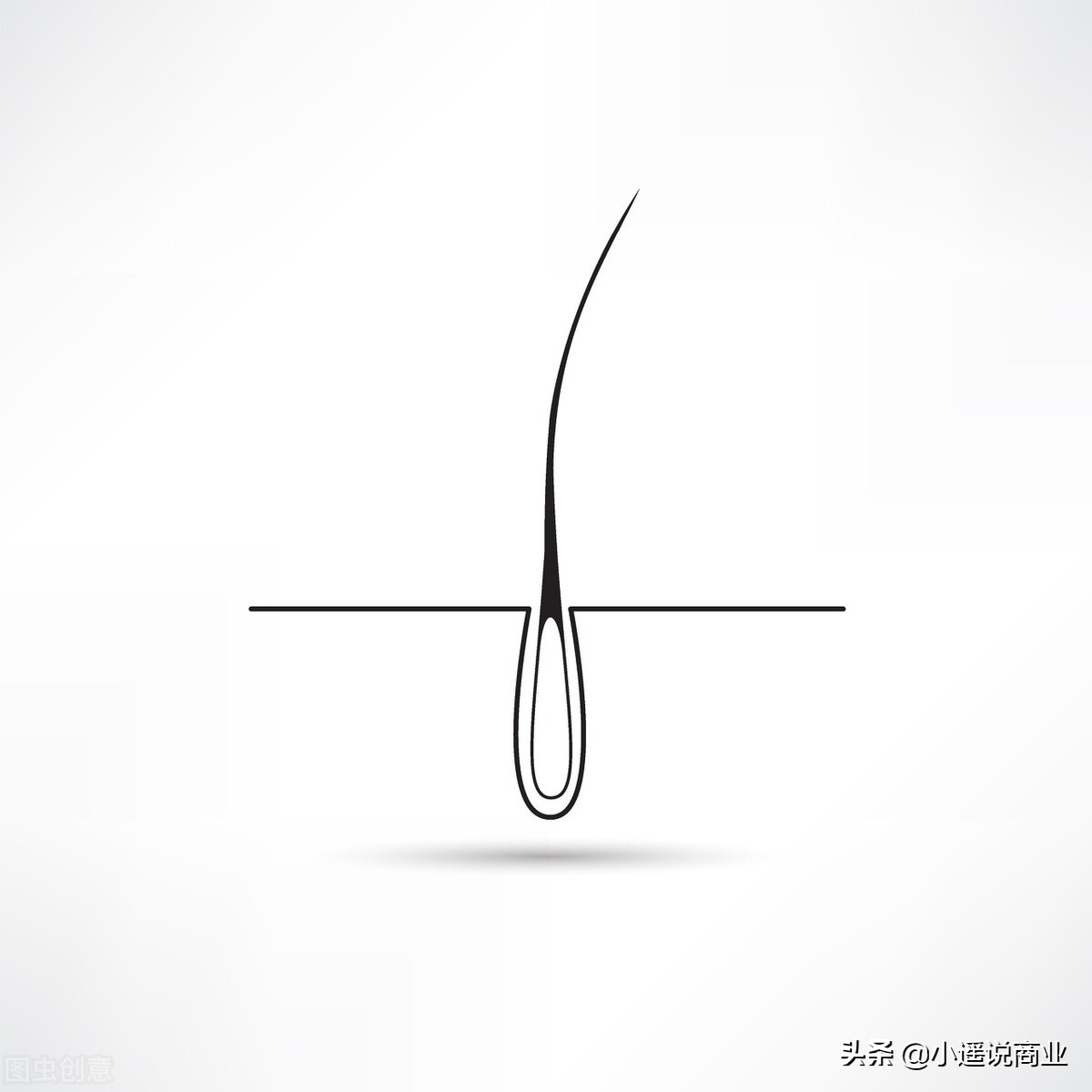 张玉植发,雍禾植发董事长张玉个人身价