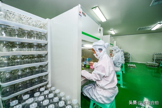 2023适合创业的项目有哪些,2023未来十年创业的项目