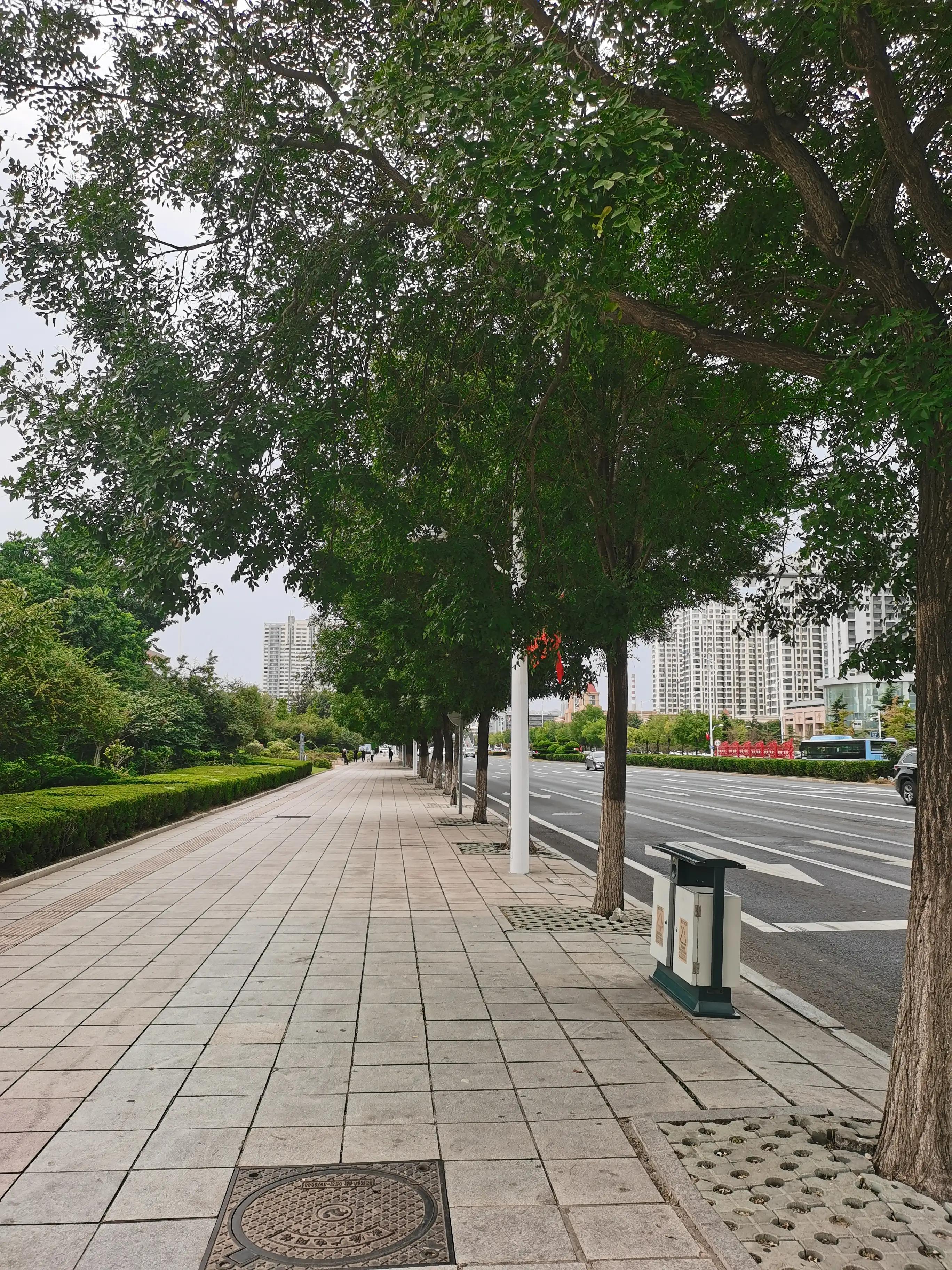 日照乳山市的房价,山东威海乳山房价未来前景