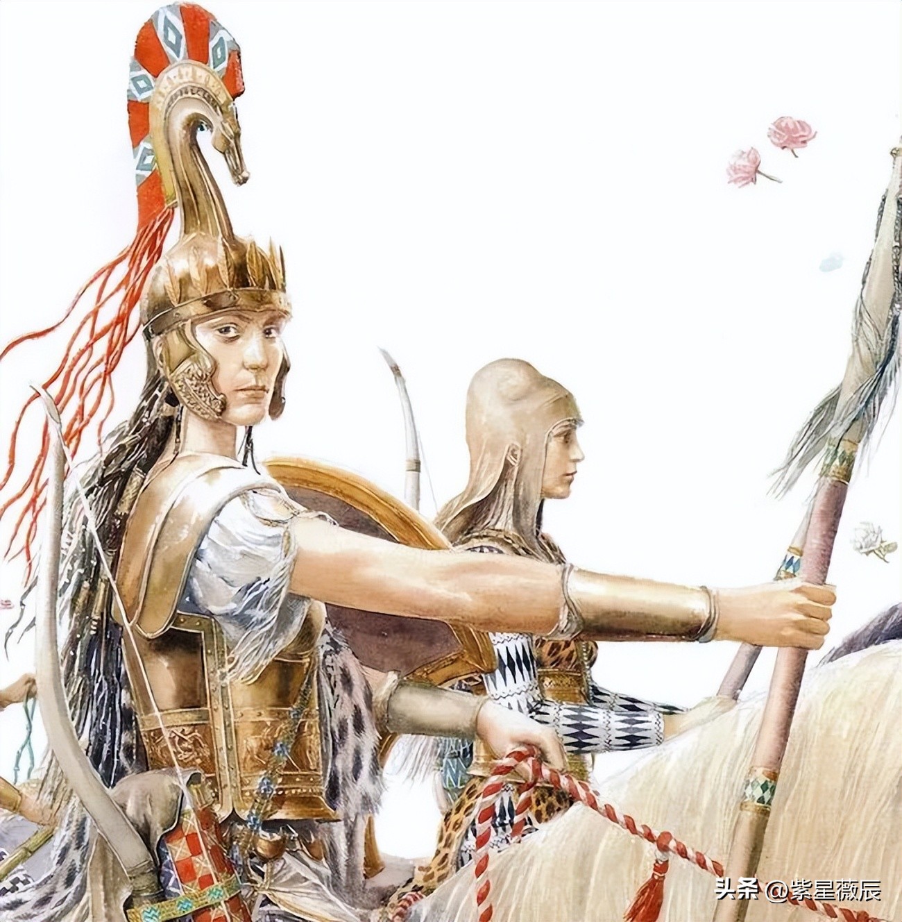 世界上唯一的寡妇部落,世界上唯一一个只有女性的部落