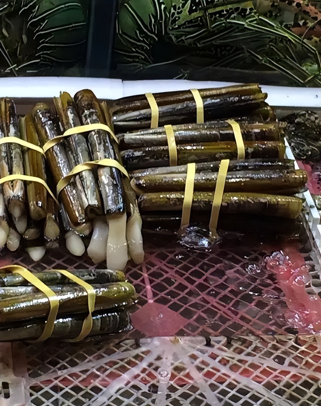 香港海鲜市场生猛海鲜,香港最大水产品市场