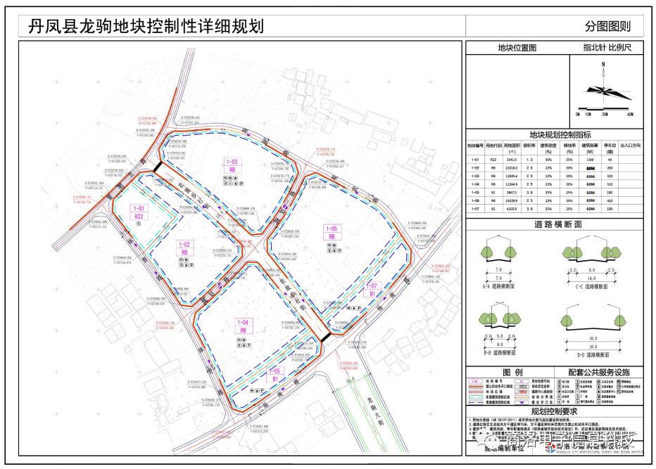 丹凤龙驹大街步行街开发,丹凤环南路规划图
