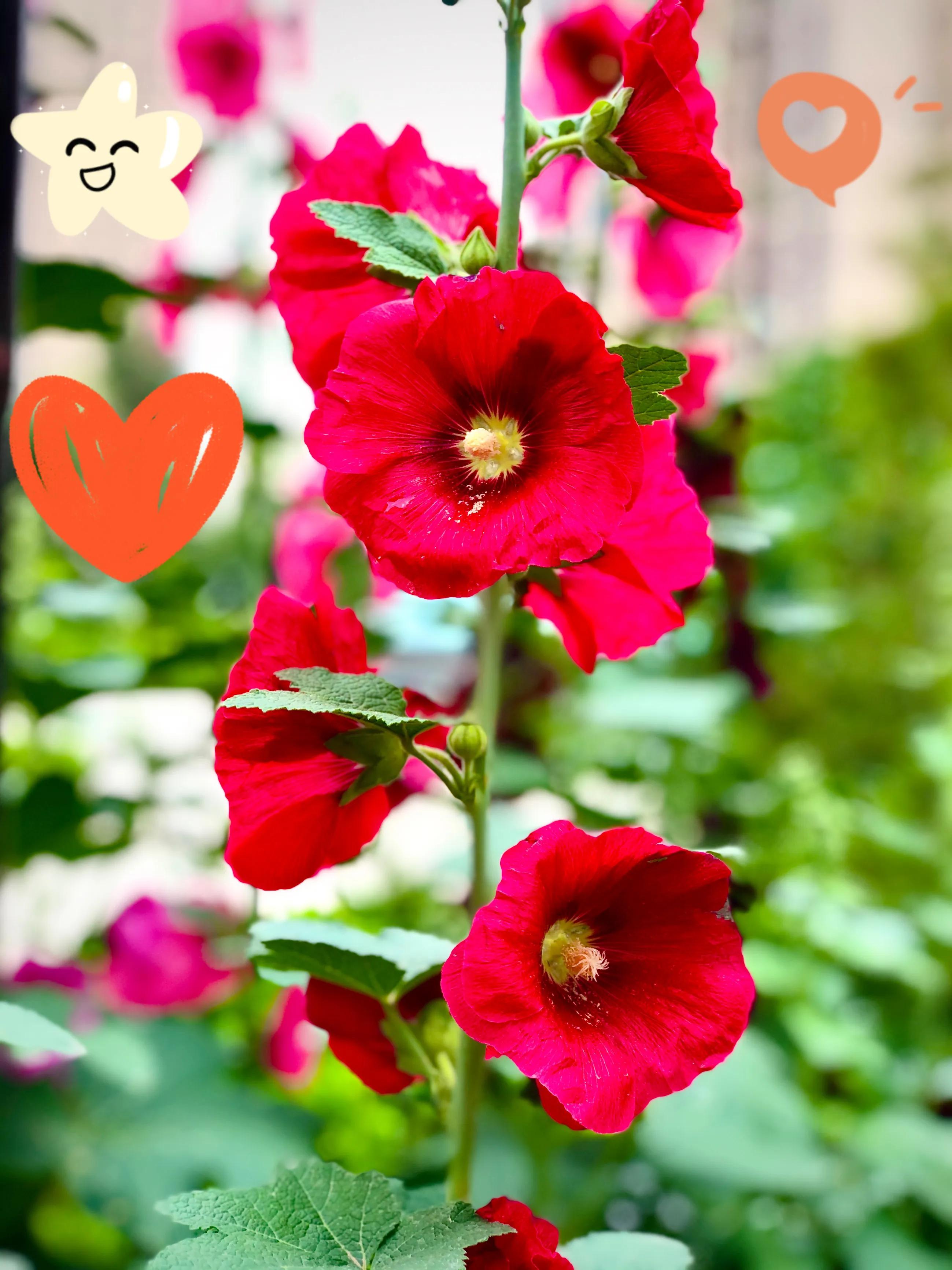 生活的极致就是化繁为简,极简是一种生活态度越简单越精致