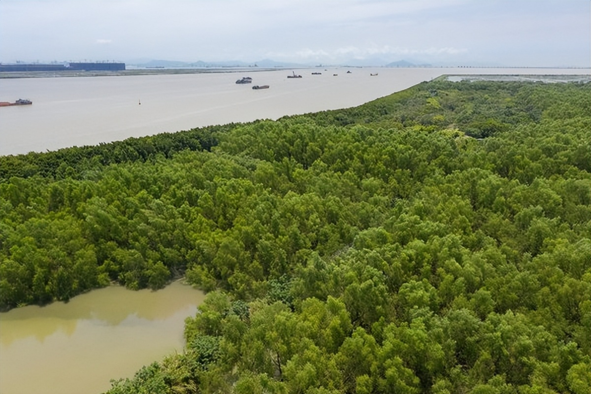 湾区光影魅力,南沙湾区超美风景线