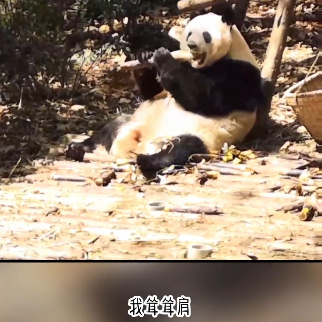 小说推文深入交流,草莓尖尖小说推文