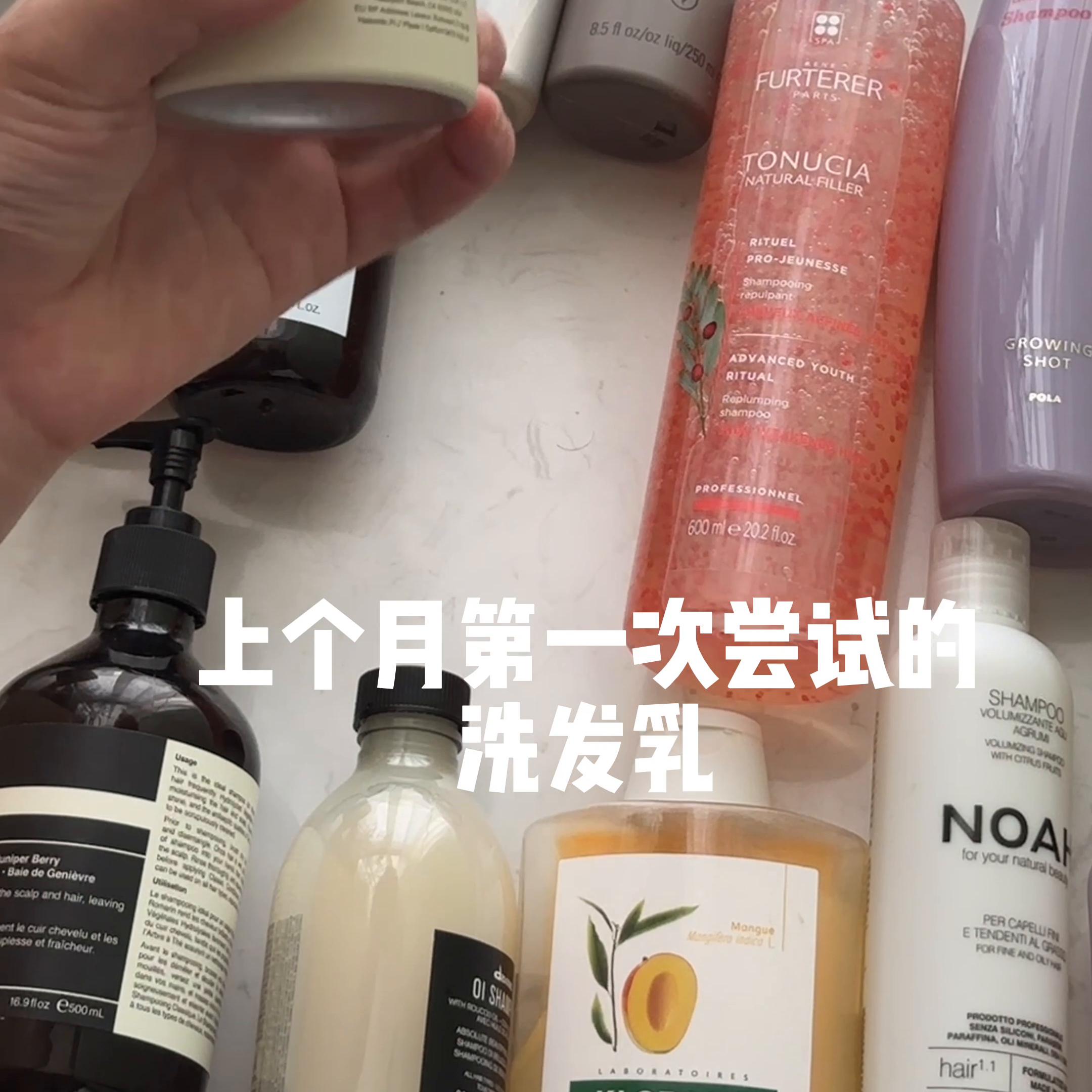 看我细软塌油头打下的江山#细软塌