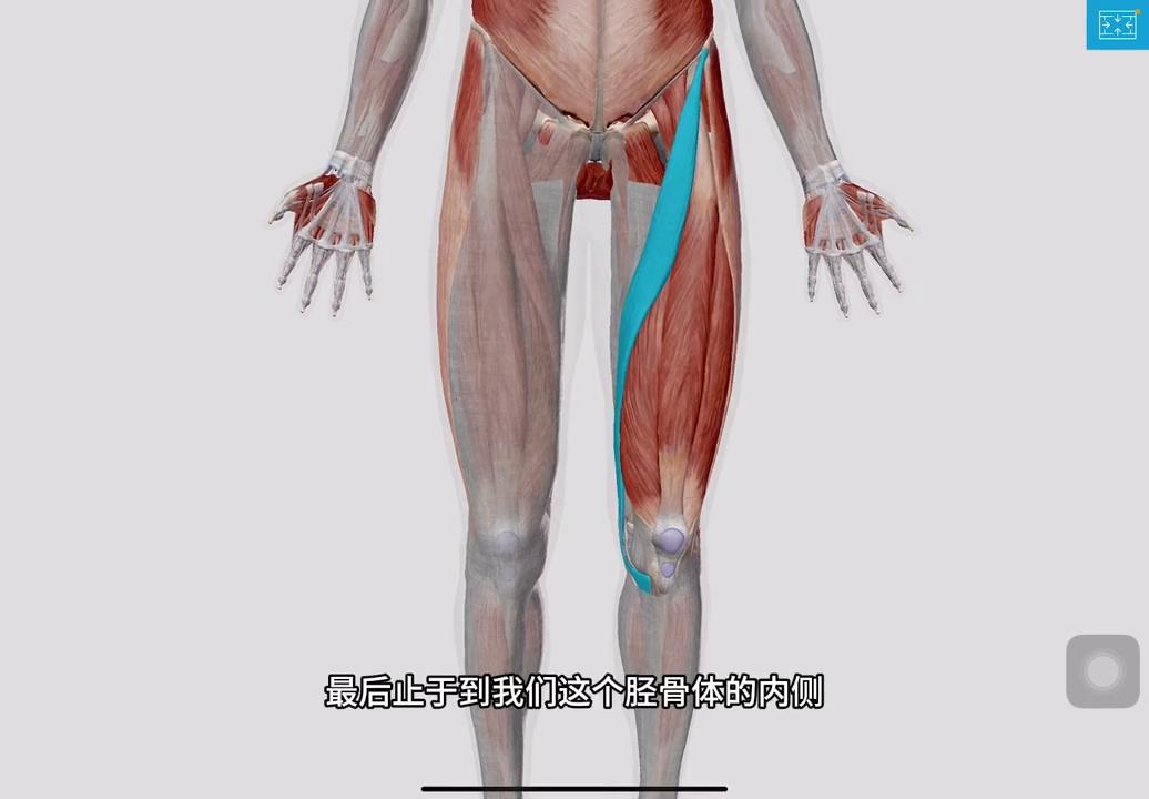 远离伤病的视频,远离伤病短句