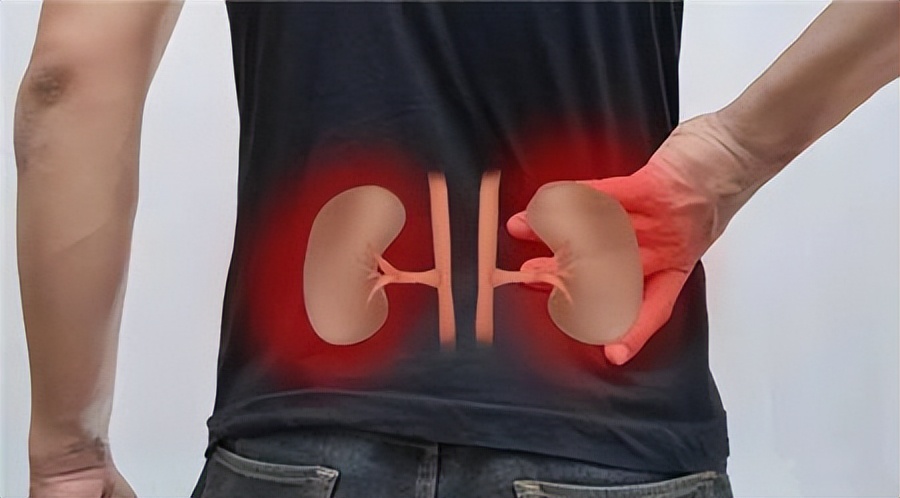 健康的男人可以吃补肾的保健药,杜仲加红茶一起泡水喝的功效