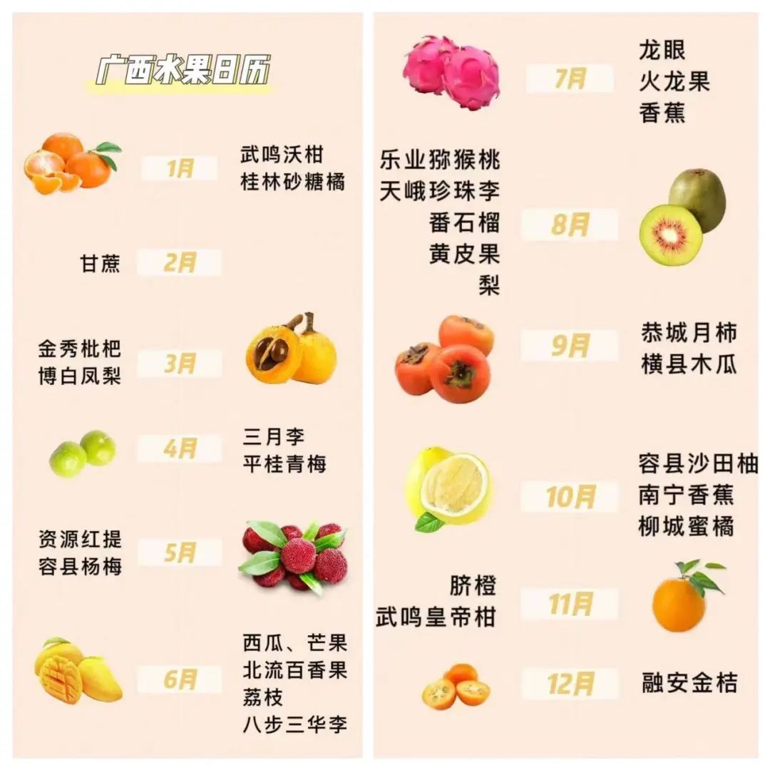外地人来南宁实现水果自由,广西人的“水果自由”是这样的