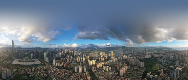 宁夏百年老枸杞,宁夏红枸杞美景