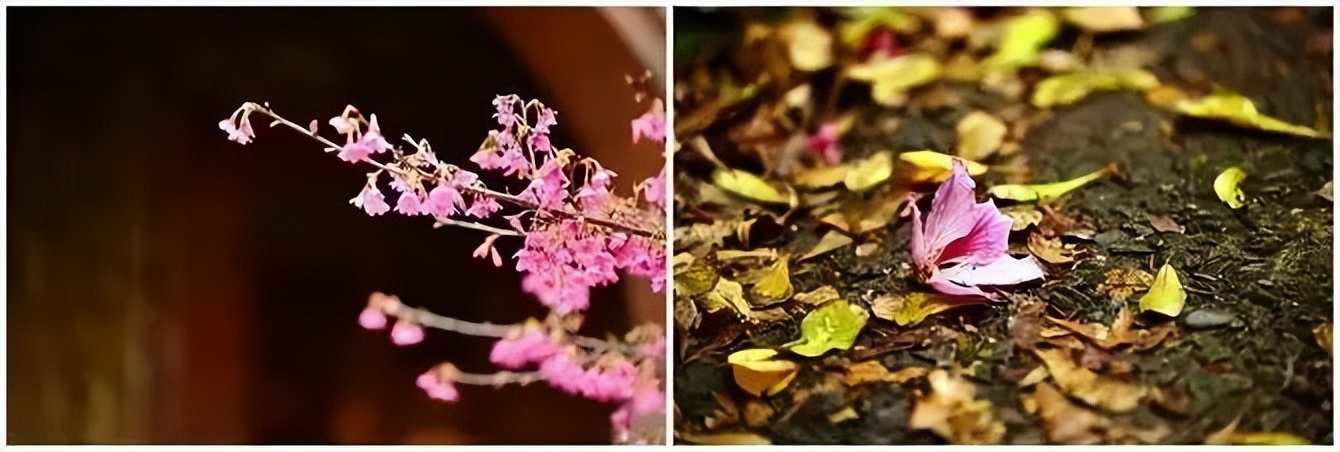 我的旅游日记2015游台湾之四,台湾人旅游祖国大好河山