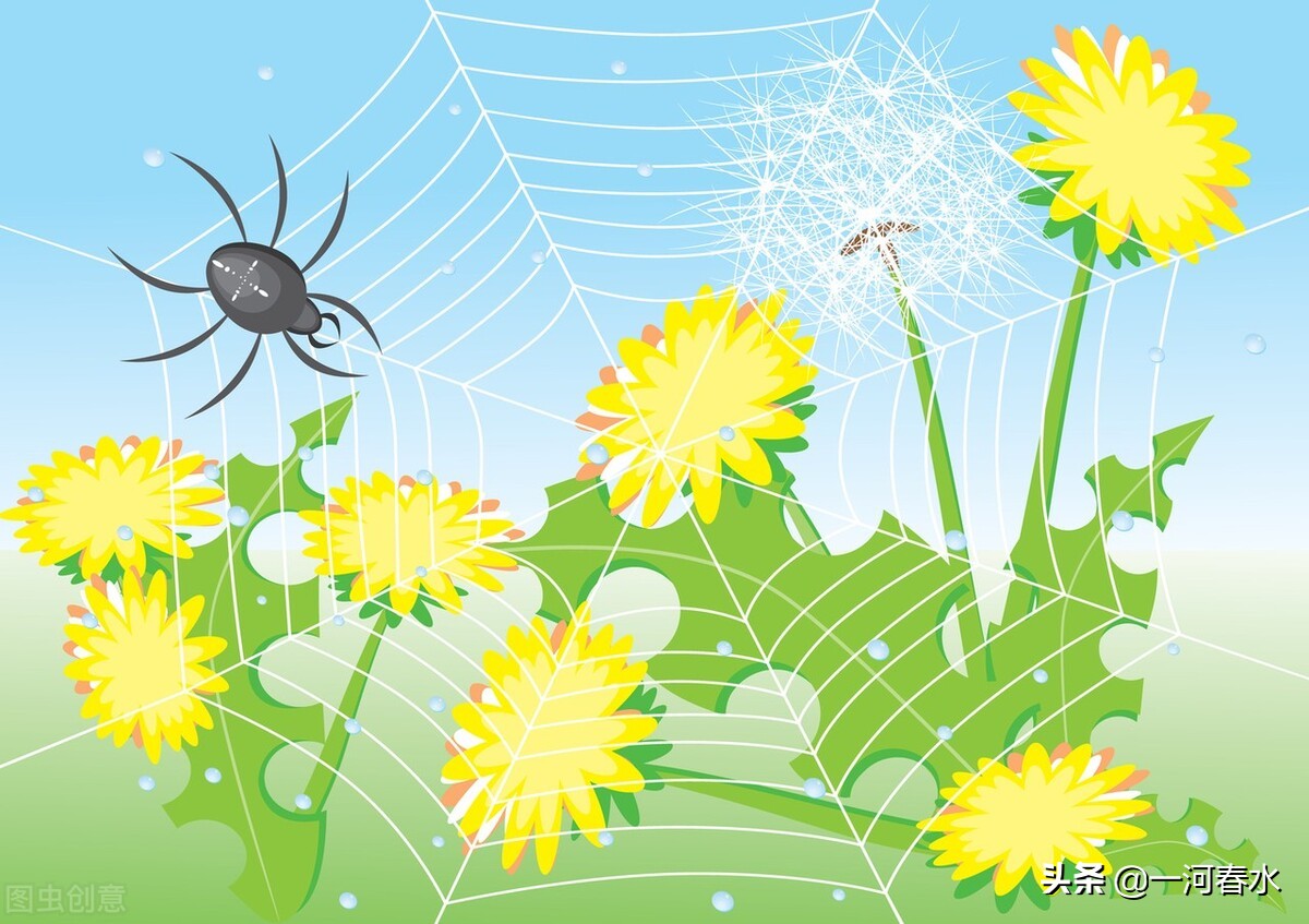 炒股历经各种陷阱,全权委托炒股案例