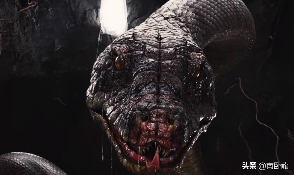 《巨蛇闯女校》上映，空姐手持烟花激战巨蟒，越来越敢拍了