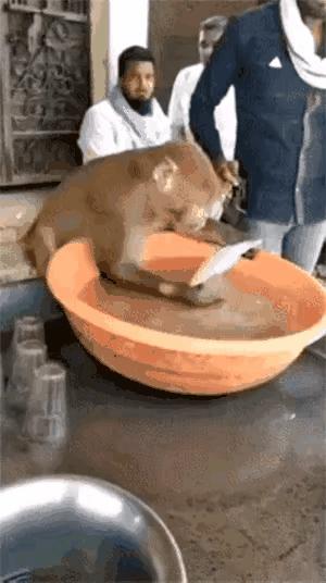 每日一笑：看多了足球比赛就没意思了，来一场不一样的比赛吧