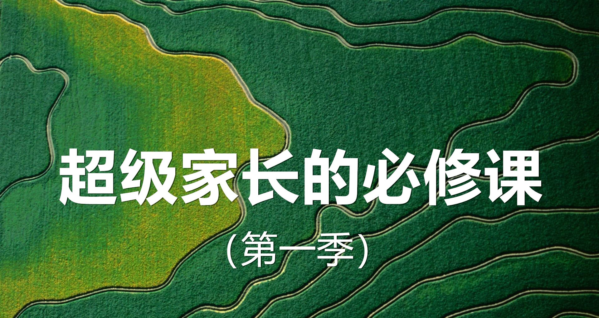 为什么80后家长选择国际学校,家长对国际学校的真实感受