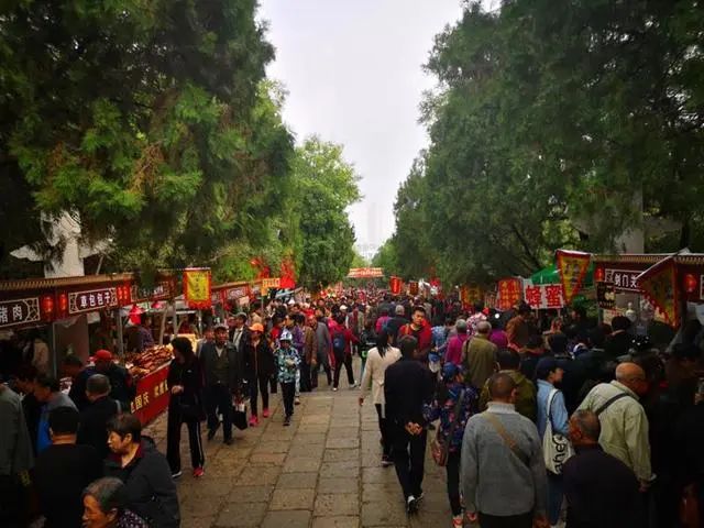 走进齐鲁,走进山东泰山