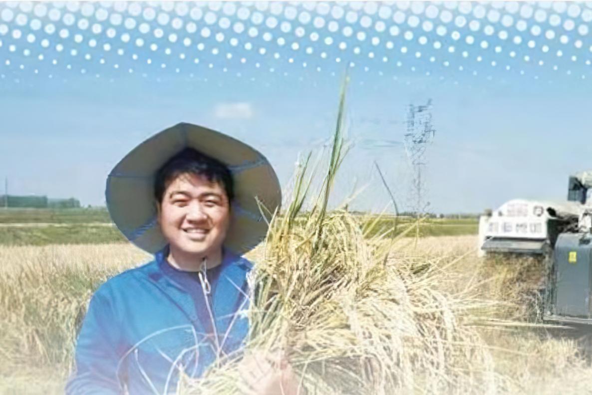 农作物免费脱粒秸秆变废为宝,农业秸秆变废为宝