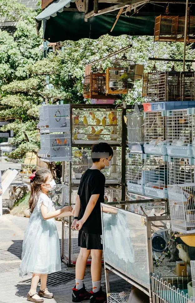 母亲节鲜花花束深圳,深圳福田区母亲节鲜花