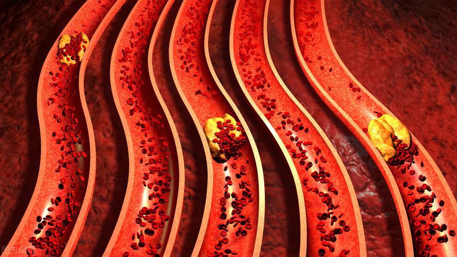 六味地黄丸副作用和禁用人群,六味地黄丸专治什么的