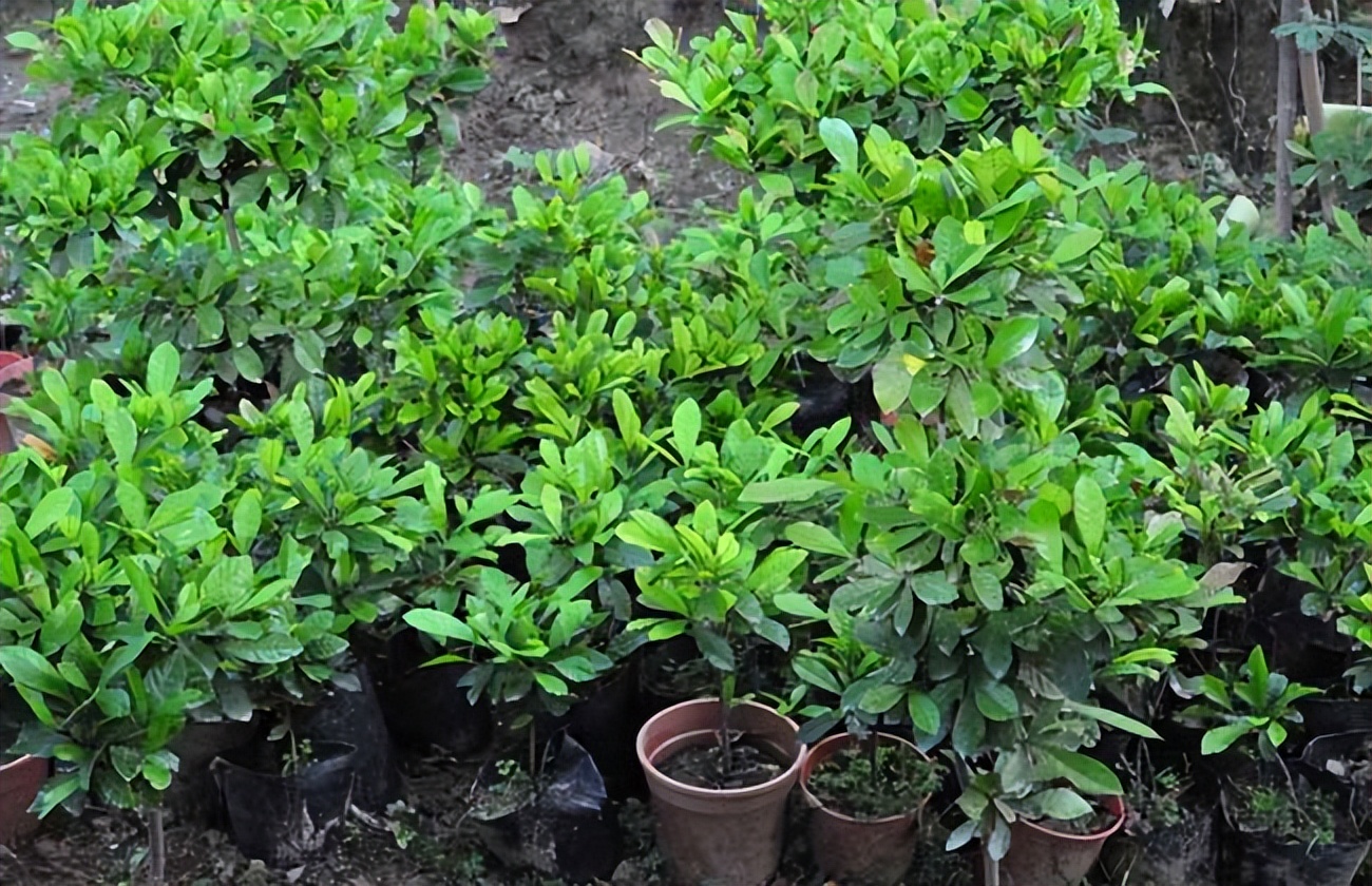 网购遇到这五种情况不要买,网购哪些东西不要买