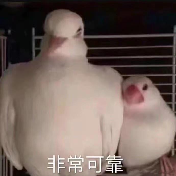 韩国流行宽肩,宽肩在韩国多流行