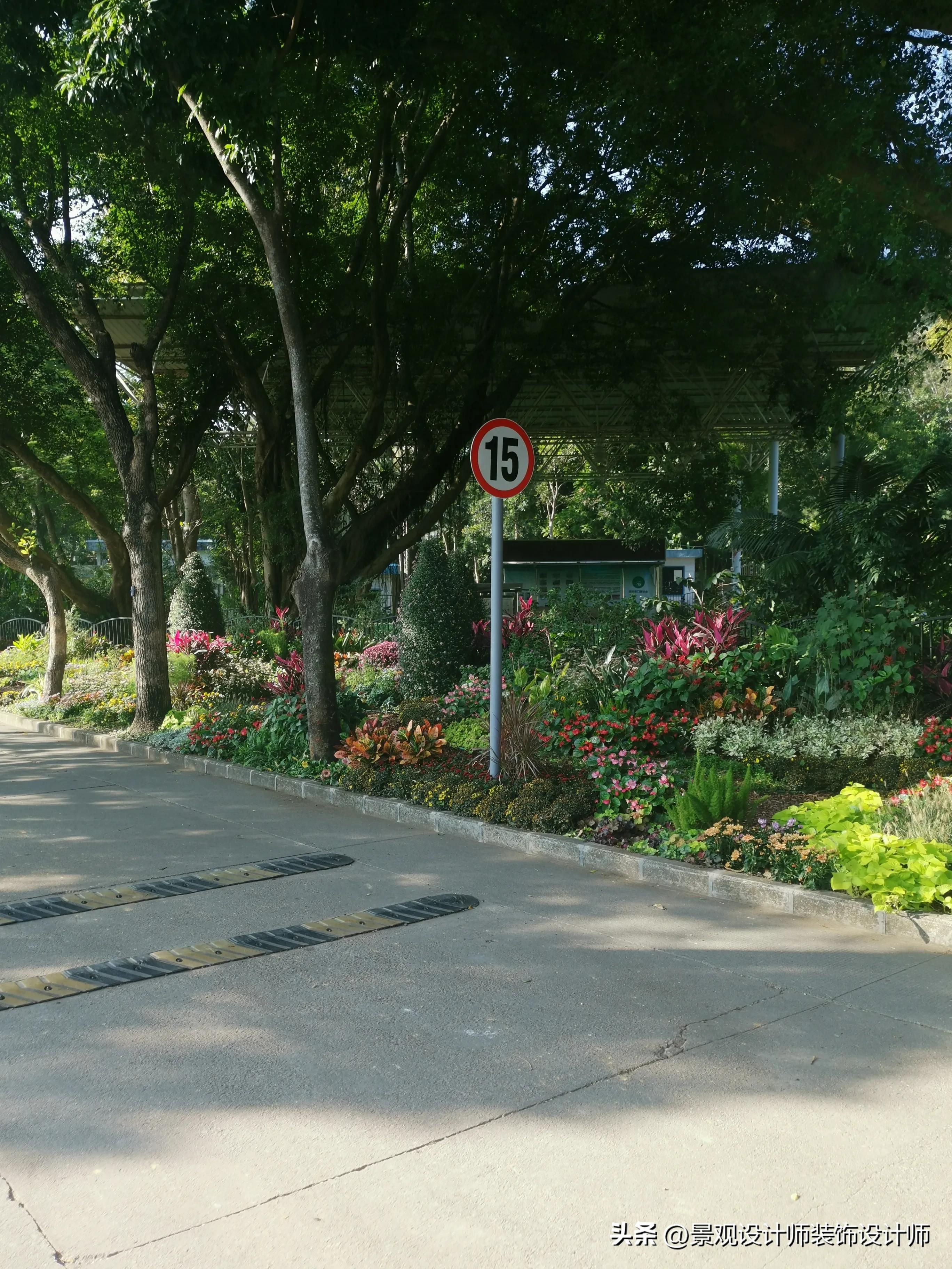 深圳市东湖公园广场舞,深圳市东湖公园收费标准