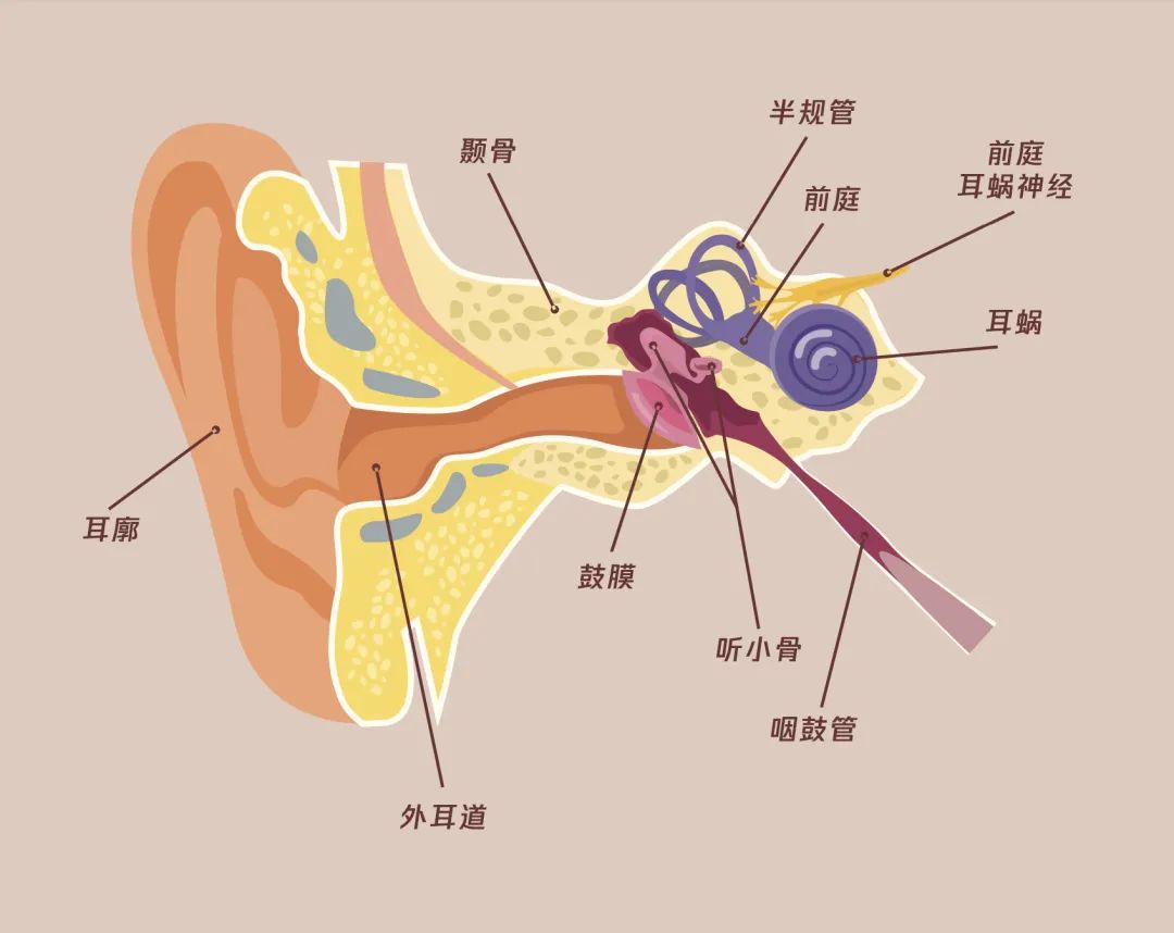 当代社交恐惧症的数据,当代社交恐惧症日常