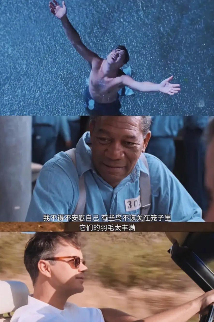 轻风乍起高分励志电影,高分励志催泪电影真人改编