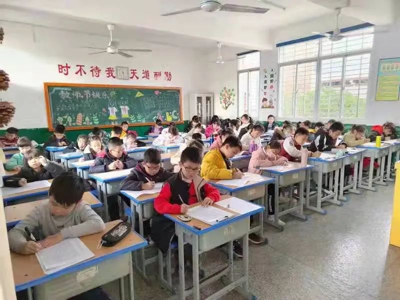 刚刚，南安近600名学生纸上争锋！有你家娃吗？