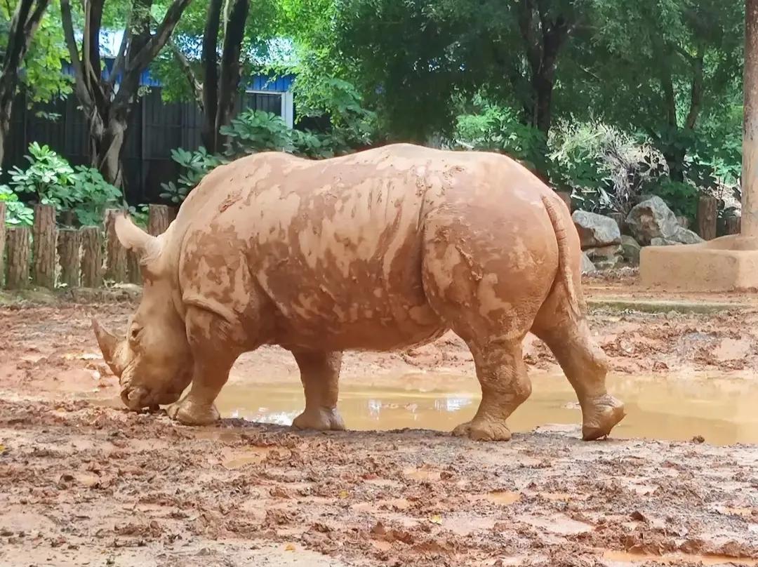 广西崇左明仕田园4*级A**旅游攻略
