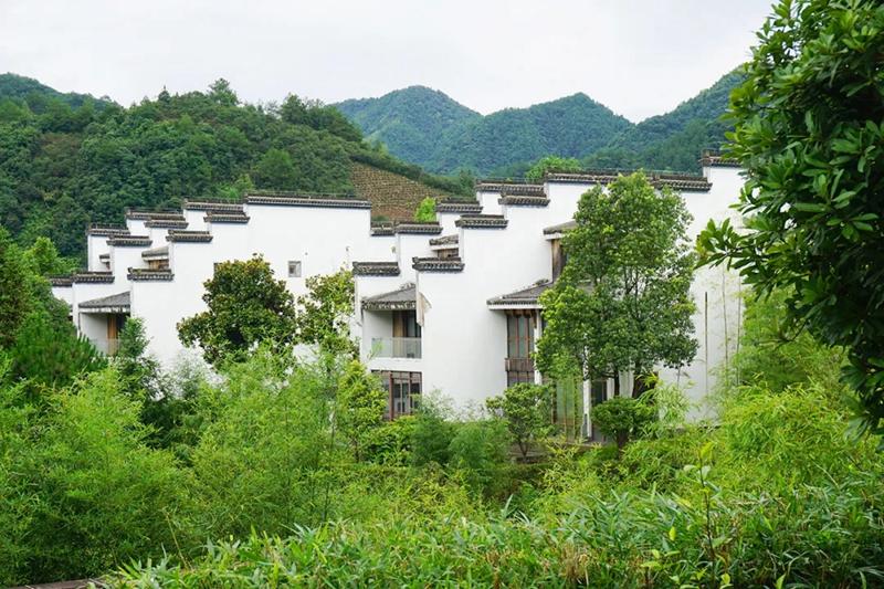杭黄高铁到黄山景区,杭黄高铁宁波到黄山