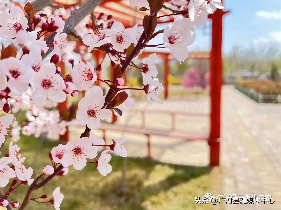 广河县三甲集中学官网,广河县三甲集高中简介