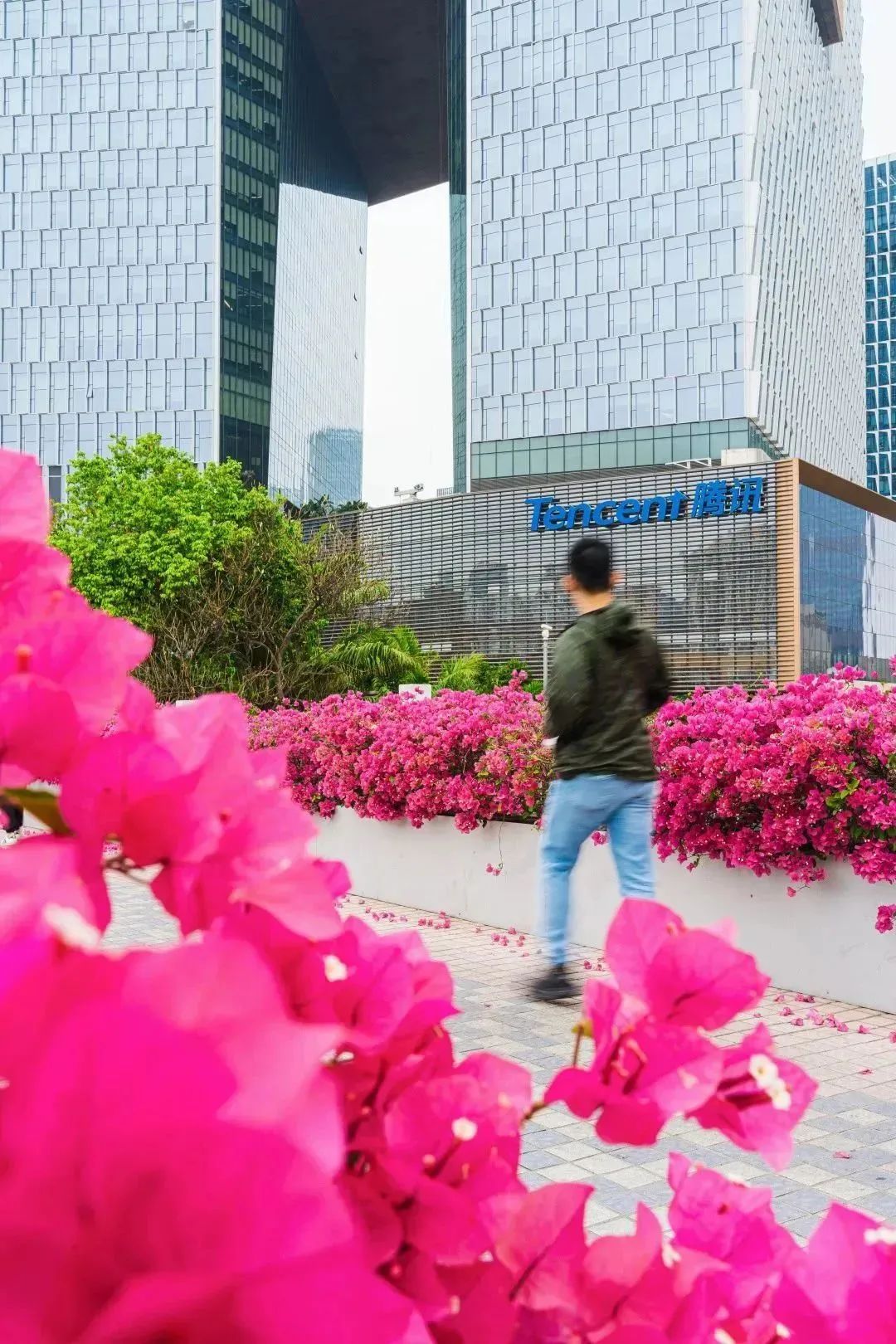 现在年轻人在深圳市创业,年轻人在深圳创业做什么好