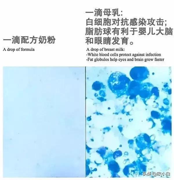 母乳vs配方奶粉,母乳和配方奶混合
