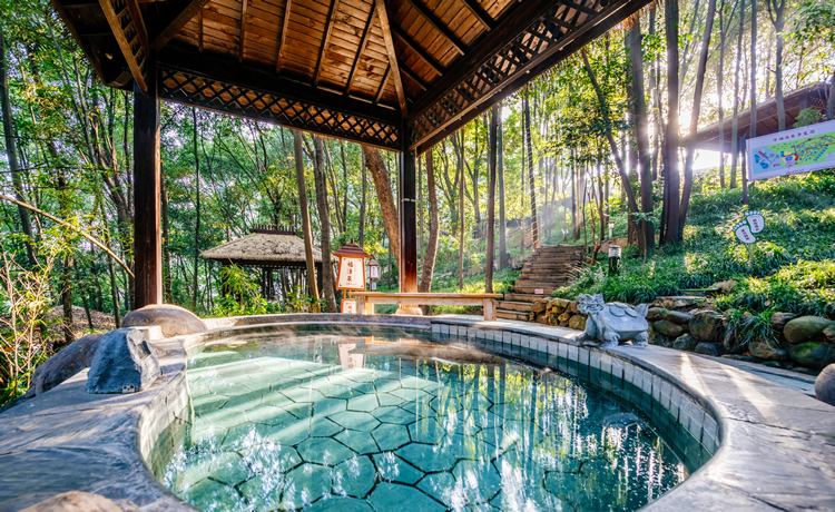 张家界万福温泉现在多少钱一张票,张家界万福温泉要多少钱消费