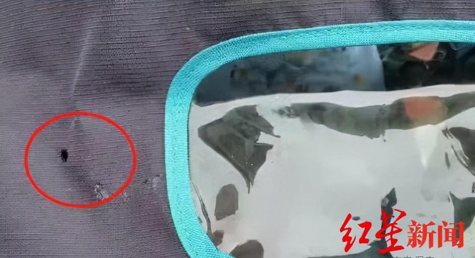 高空烟头烧穿婴儿车后续,小区天降烟头烧穿婴儿车家属发声