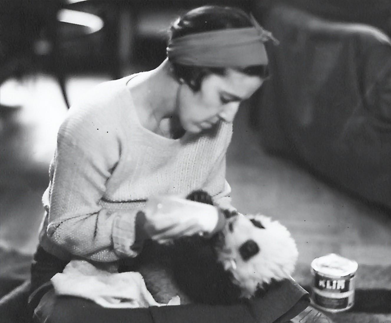 我国被偷的大熊猫,外国人偷大熊猫有多疯狂