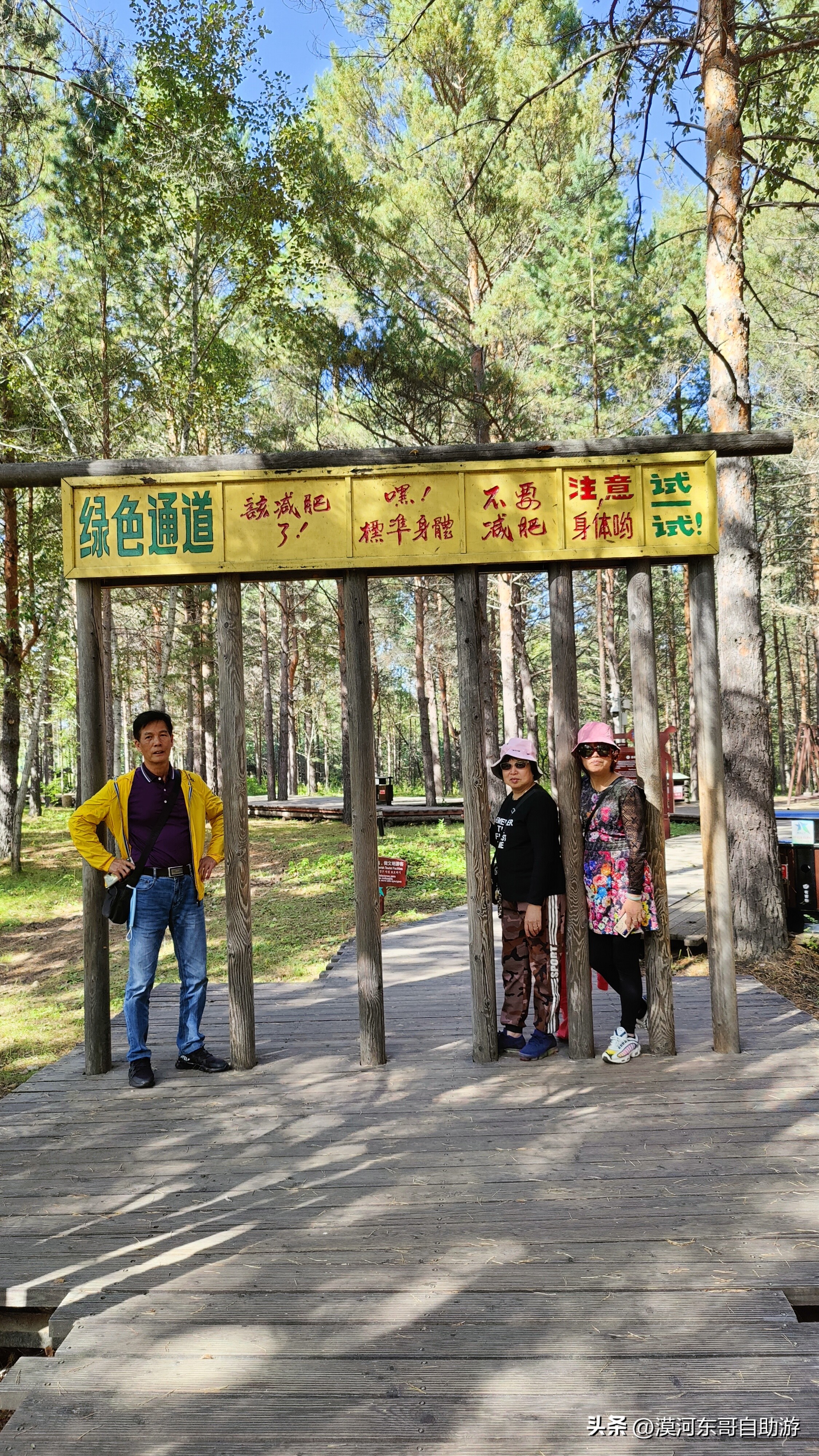 带你去看杜鹃花完整版,漠河旅游攻略一览表